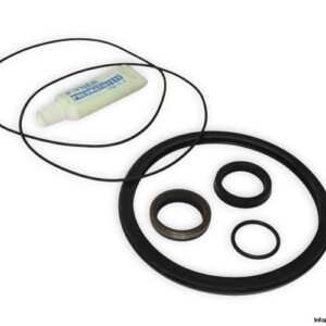 Joyner J39608/J061600000 Seal KIT
