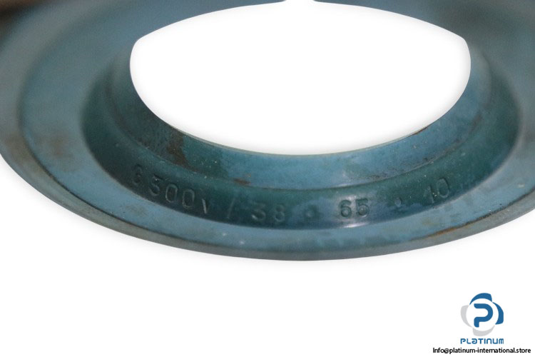 kaco-G-38-65-10-oil-seal-(new)-(carton)-1