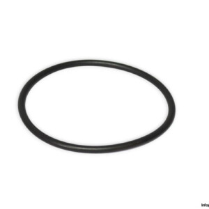 Sandvik 952408 O-Ring Seal