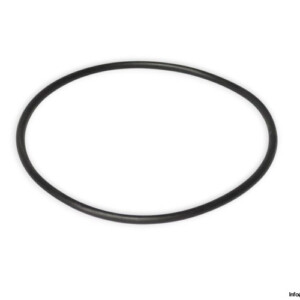 Sandvik 86930399 O-Ring Seal