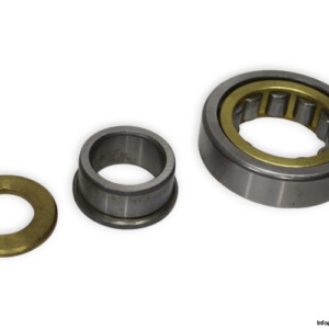 LFD NJ 305 EM Cylindrical Roller Bearing