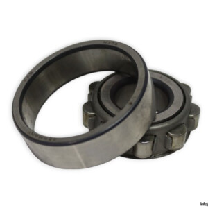 FAG N 304 Cylindrical Roller Bearing