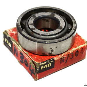 FAG N 304 Cylindrical Roller Bearing