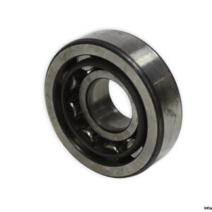 SKF NJ 304 Cylindrical Roller Bearing