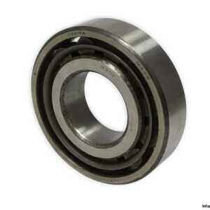 Femina N 310 Cylindrical Roller Bearing