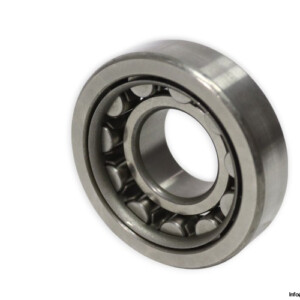 nsk-NU-306-cylindrical-roller-bearing-new