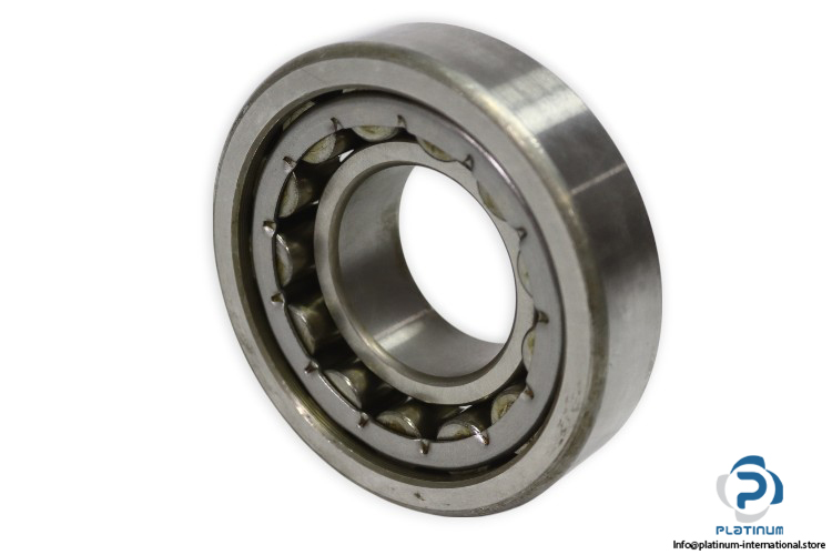 dkfddr-NU-310-E-P6-cylindrical-roller-bearing-new-withsnapring