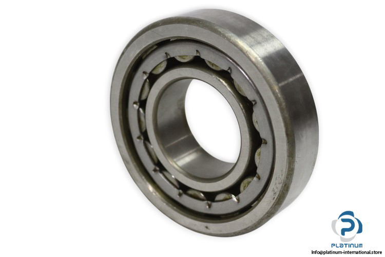 dkfddr-NU-310-E-P6-cylindrical-roller-bearing-new-withsnapring-1