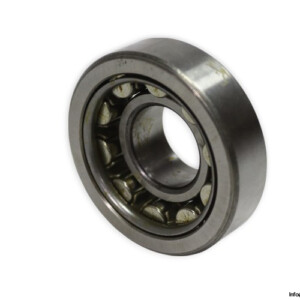 SKF NU 305 Cylindrical Roller Bearing