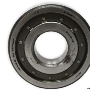 riv-5DBV_Q-cylindrical-roller-bearing-new