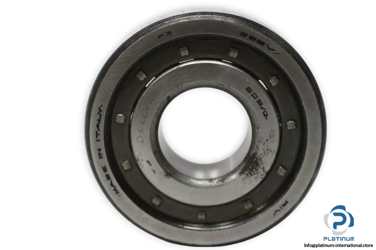 riv-5DBV_Q-cylindrical-roller-bearing-new