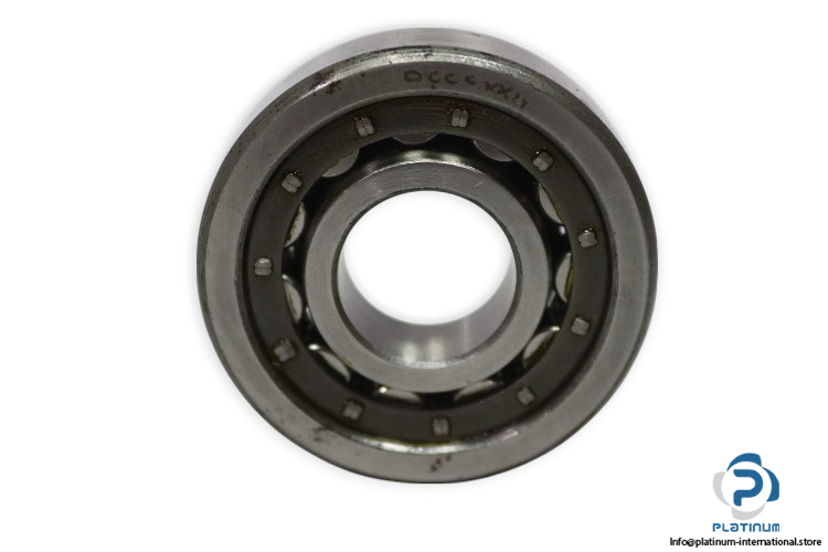 riv-5DBV_Q-cylindrical-roller-bearing-new-1
