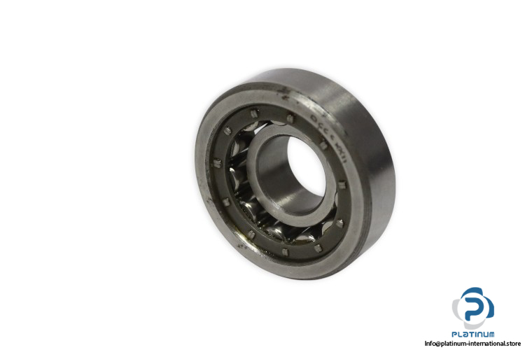 riv-5DBV_Q-cylindrical-roller-bearing-new-2