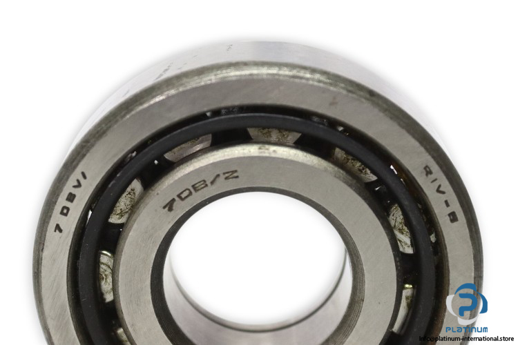 riv-7DBV_Z-cylindrical-roller-bearing-new-1