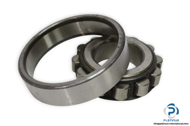 femina-N-310-cylindrical-roller-bearing-used