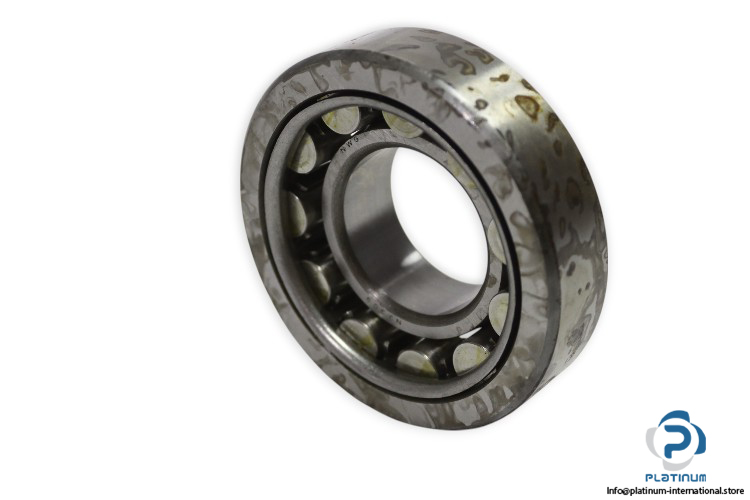 nwg-NJ-309-cylindrical-roller-bearing-new
