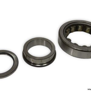 WFR NUP 313 Cylindrical Roller Bearing