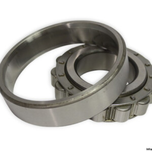 RIV 16DB / V Cylindrical Roller Bearing