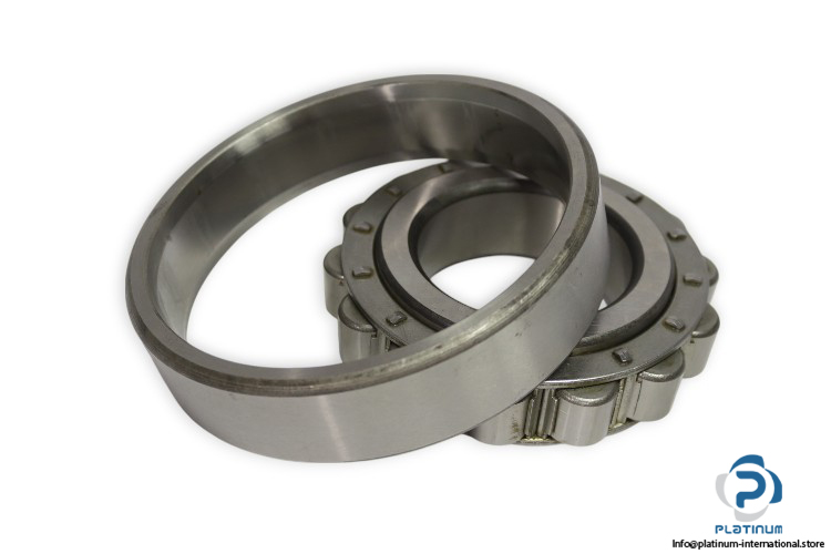 riv-16DB_V-cylindrical-roller-bearing-new