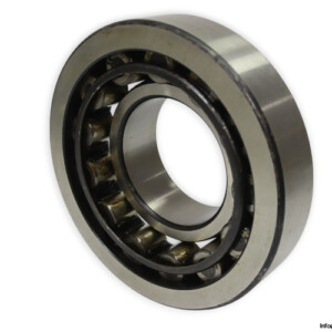 dkfddr-NU-320-cylindrical-roller-bearing-new