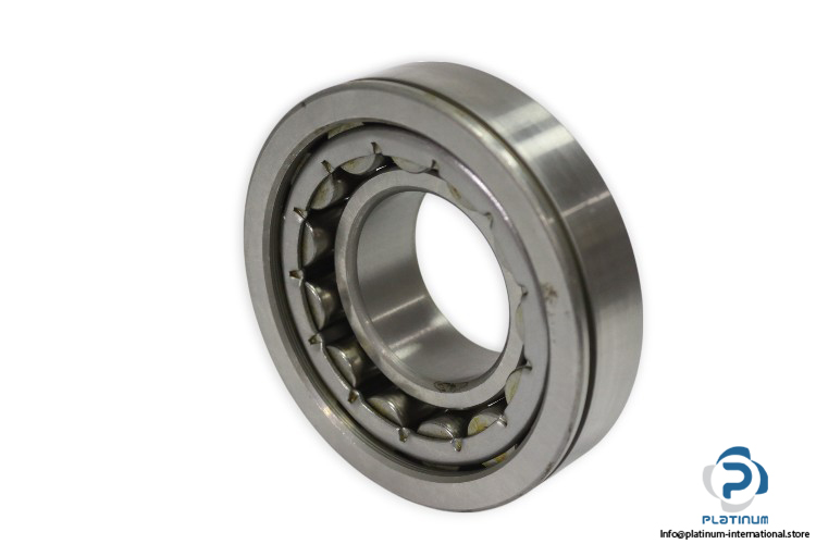 dkfddr-NU-310-EN-P6-cylindrical-roller-bearing-used