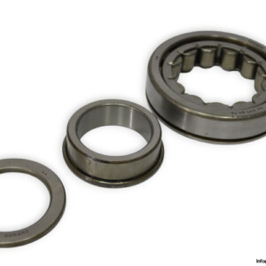 dkfddr-NUP-311-EN-P6-cylindrical-roller-bearing-new