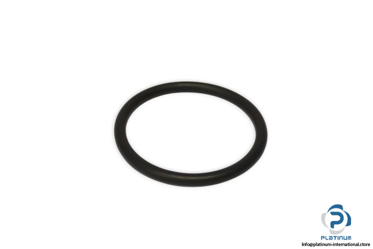 angst-pfister-A19.302033.001-o-ring-seal-(new)