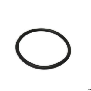 euer-MS-631931-sealing-seal-(new)