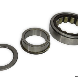 Steyr NUP 315 E / TGP1 Cylindrical Roller Bearing