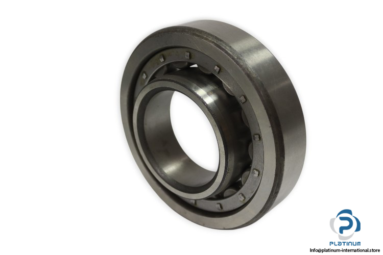 riv-15DB_P-cylindrical-roller-bearing-used