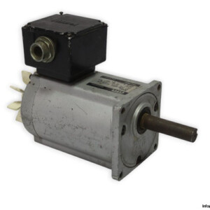 GTR SP G0B-9355 Induction Motor