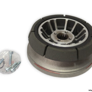 Demag 059 762 84 Conical Brake Disc