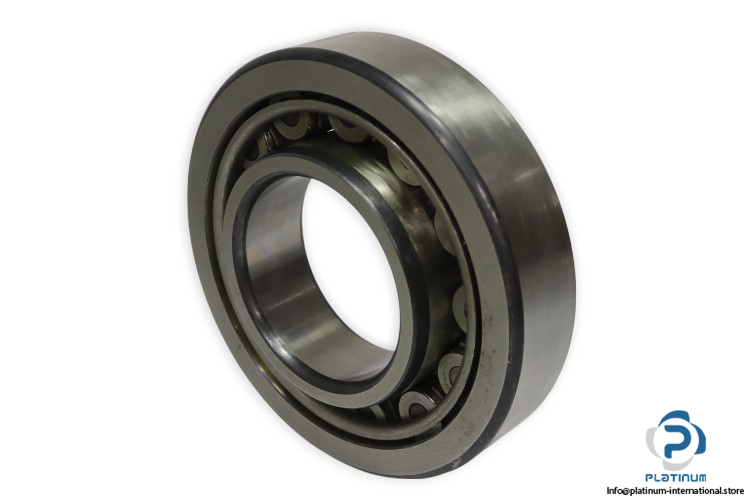 fag-NU-317-cylindrical-roller-bearing-new