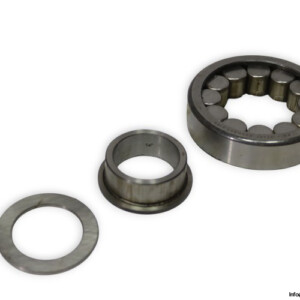 ina-F-53597-cylindrical-roller-bearing-new