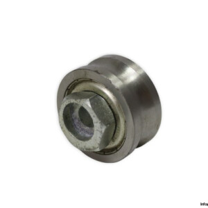 LFR5201-12KDD Yoke Type Track Roller