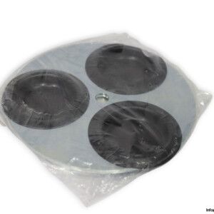 041584 Timing Disc