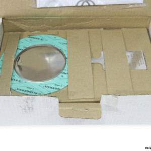 Berstscheiben Schlesinger C160RP0,05-06SI Rupture Disc