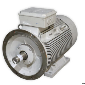 siemens-1LG4-316-4AA96-Z-315L-electric-motor-new