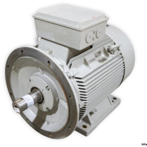 Siemens 1LG4 313-4AA96-Z 315M Electric Motor