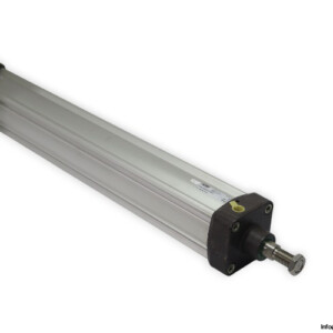 parker-P1D-S080MS-0600-iso-cylinder-(new)