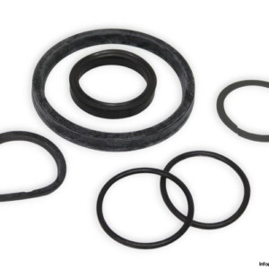 Cascade 557012 Seal KIT