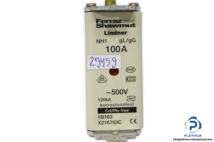 ferraz-shawmut-1B163_X216703C-fuse-link-(New)-1