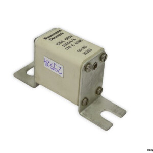 BUSSMANN-170E4398-fuse-link(new)
