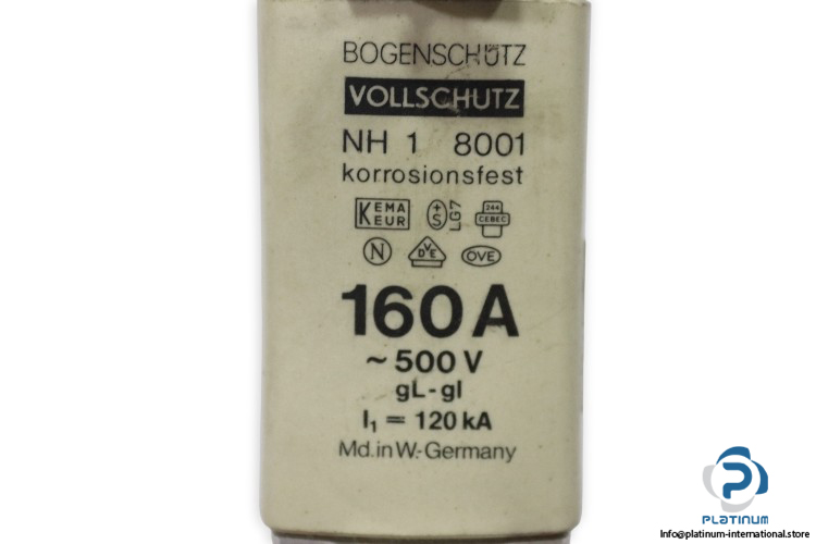 Bogenschutz-NH1GLGI-160A-500v-120kA-fuse-link(new)-1