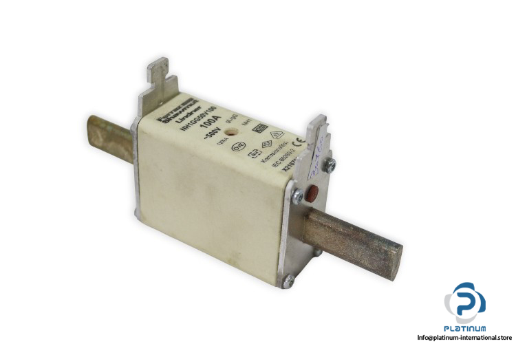 Ferraz-shawmut-nh1gg50v100-100a-500v-fuse-link(new)