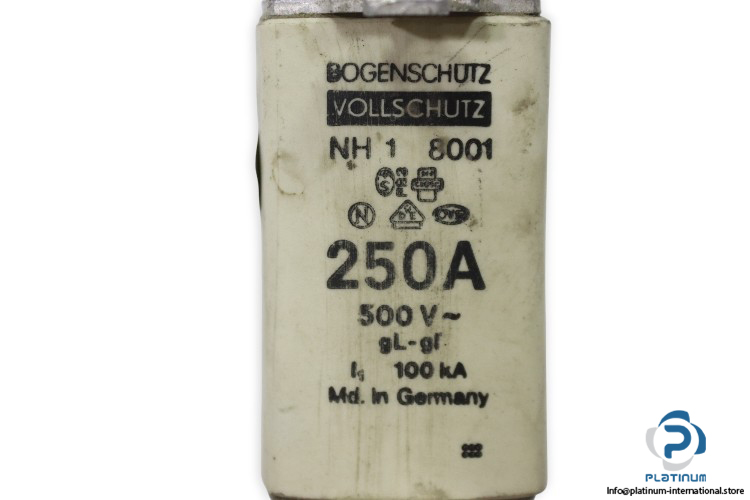 Bogenschutz-nh-1-8001-250a-500v-fuse-link(new)-1