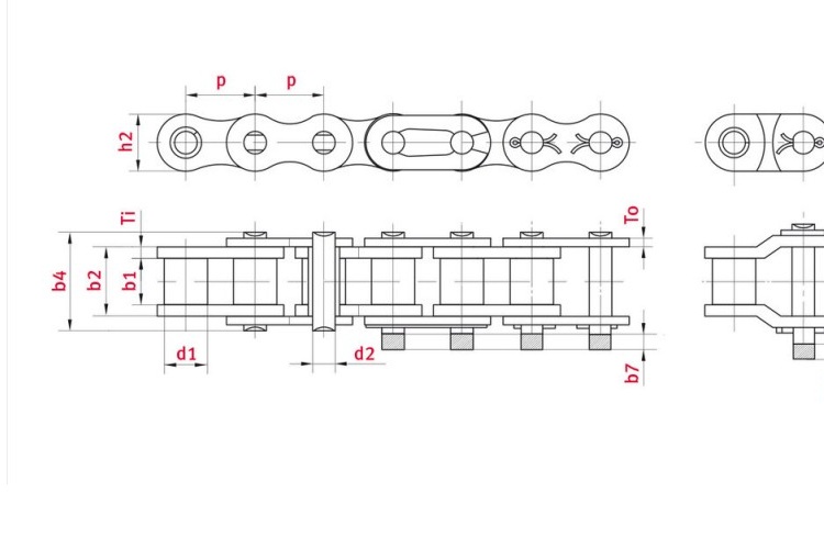 flexon-elite-C16B-1-roller-chain-new-7