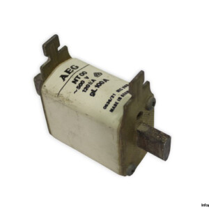 AEG NT00 GL 100A 500VAC Fuse Link