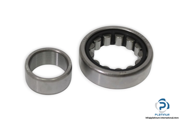 ask-NU-205-E-cylindrical-roller-bearing-(new)