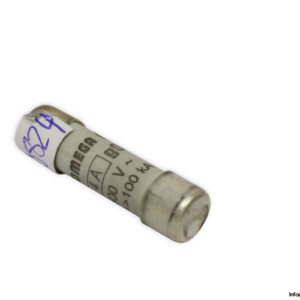Omega GG 4A-500V Fuse Link